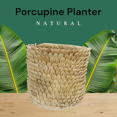 Planter - Porcupine basket