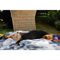 Finesse Pet Blanket A Dogs Life Steel/Silver
