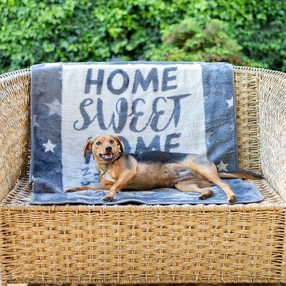 Finesse Pet Blanket  A Dogs Life  Steel/Silver